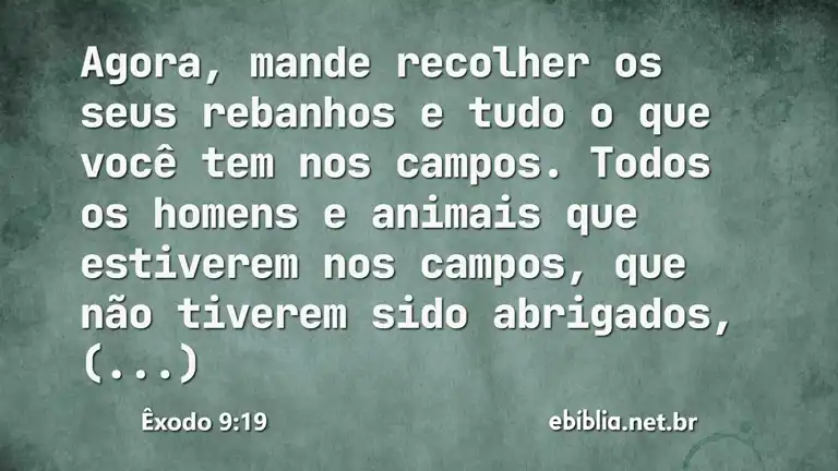 Êxodo 9:19