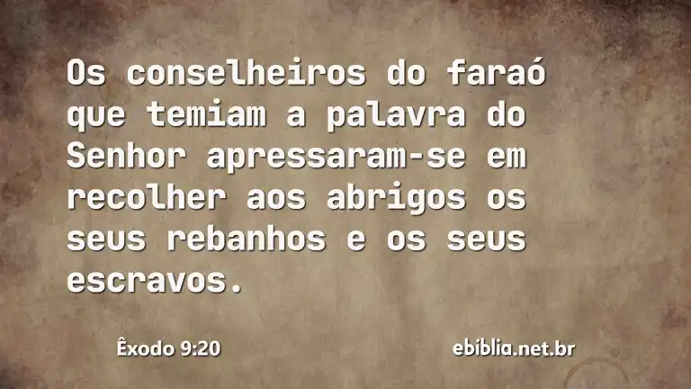 Êxodo 9:20