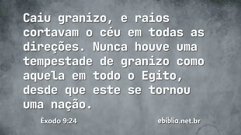 Êxodo 9:24