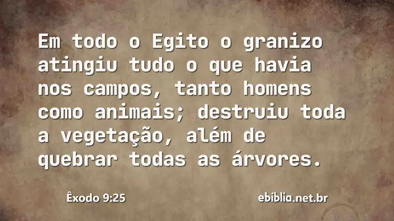 Êxodo 9:25