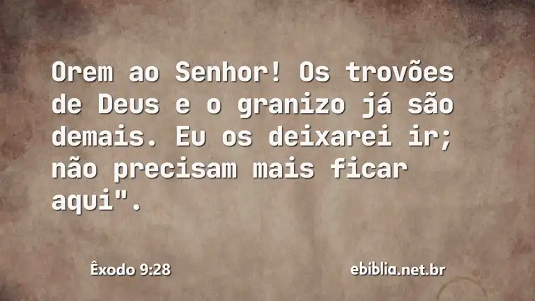 Êxodo 9:28