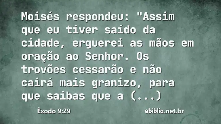 Êxodo 9:29