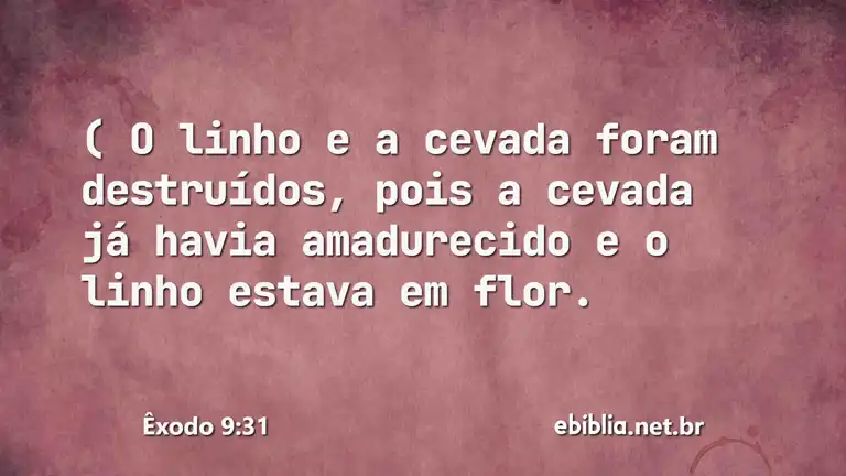 Êxodo 9:31