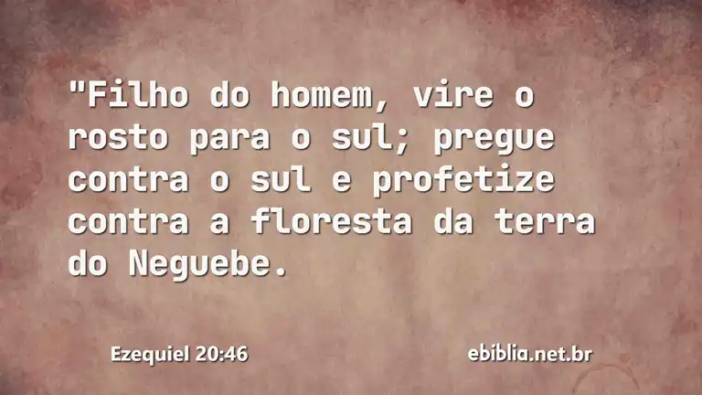 Ezequiel 20:46