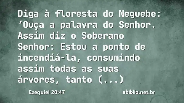 Ezequiel 20:47