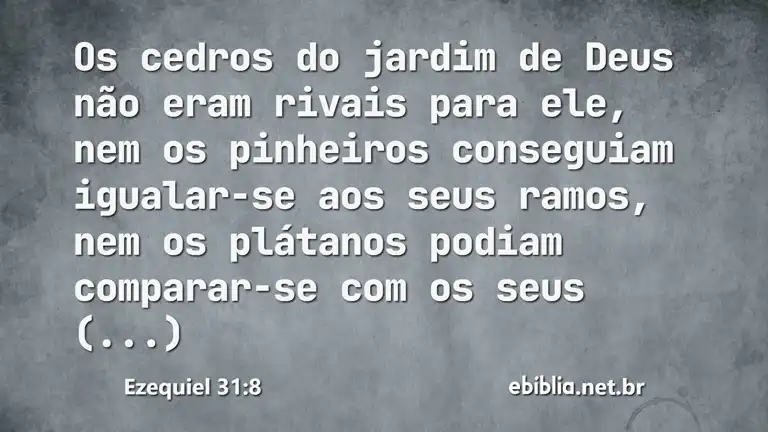 Ezequiel 31:8