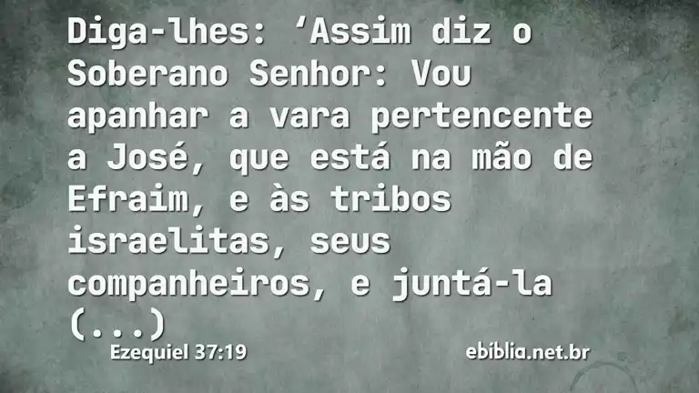 Ezequiel 37:19