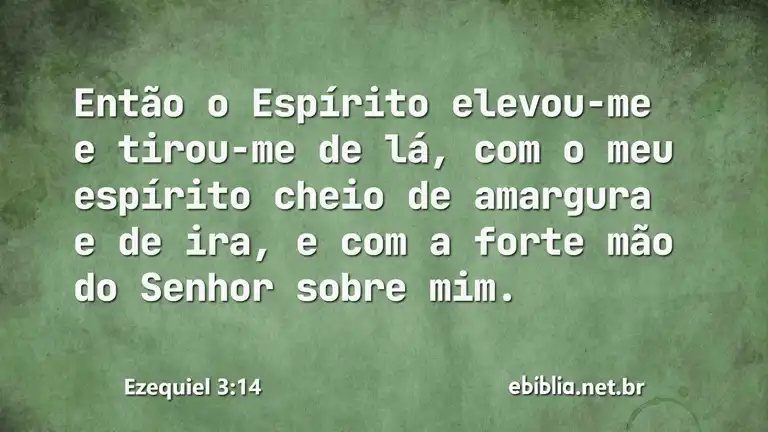 Ezequiel 3:14