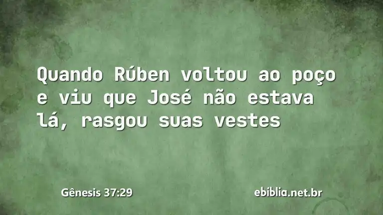 Gênesis 37:29