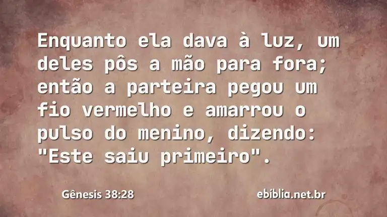 Gênesis 38:28