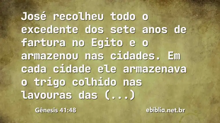 Gênesis 41:48