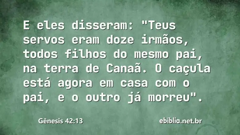 Gênesis 42:13