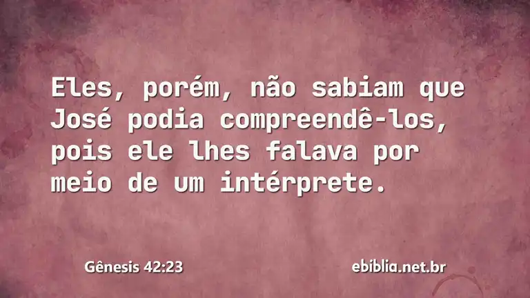 Gênesis 42:23