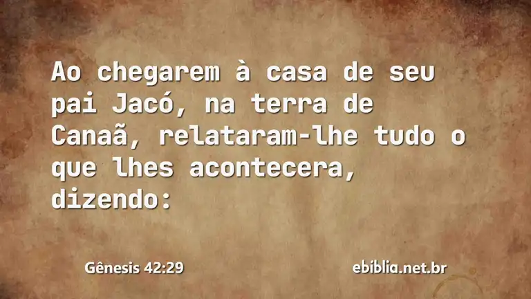 Gênesis 42:29