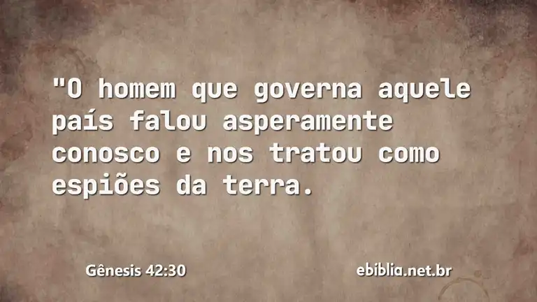 Gênesis 42:30