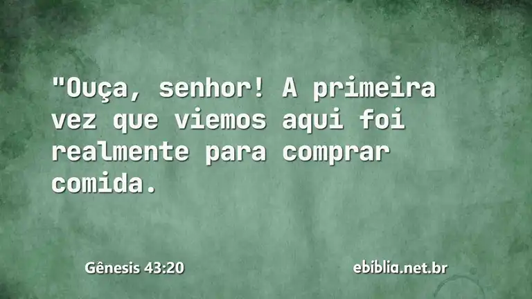 Gênesis 43:20