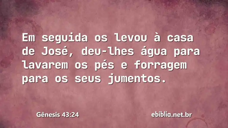 Gênesis 43:24