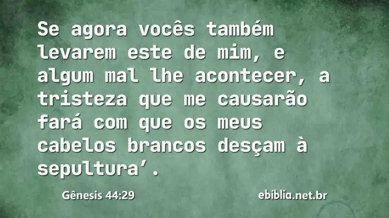 Gênesis 44:29