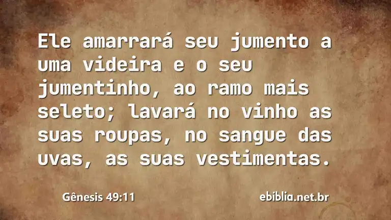 Gênesis 49:11