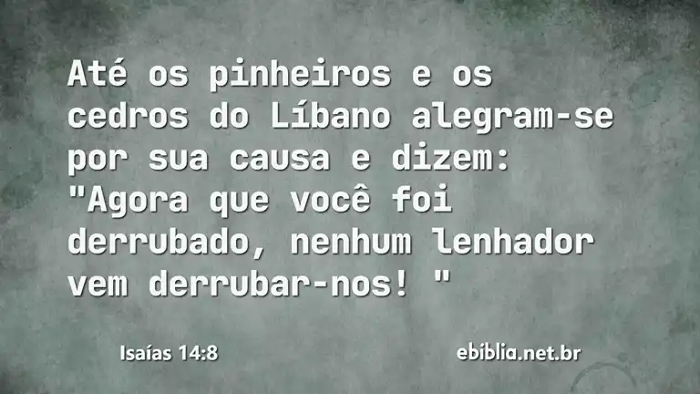 Isaías 14:8