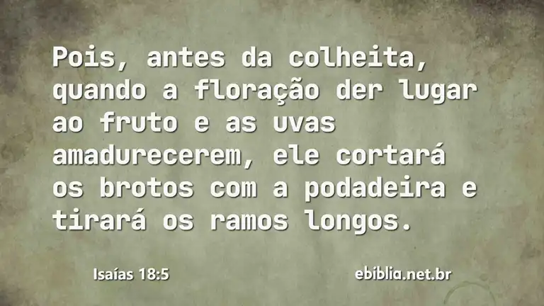 Isaías 18:5