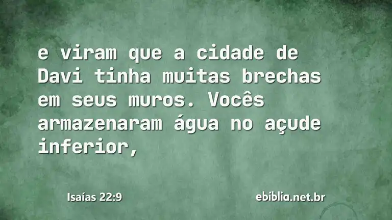 Isaías 22:9