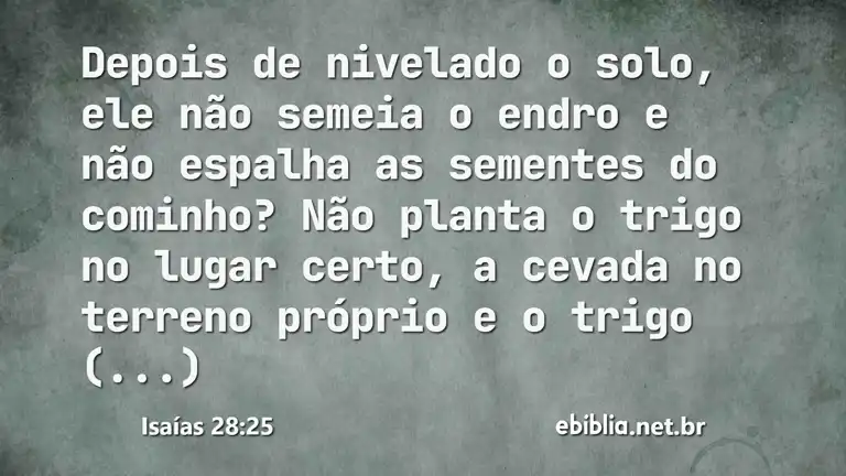 Isaías 28:25