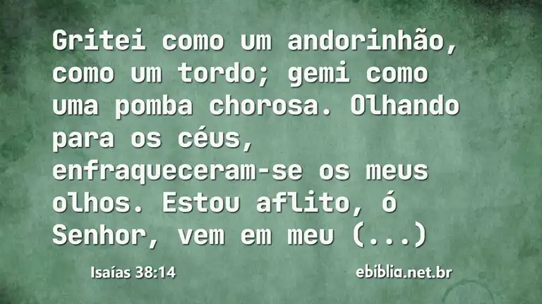 Isaías 38:14