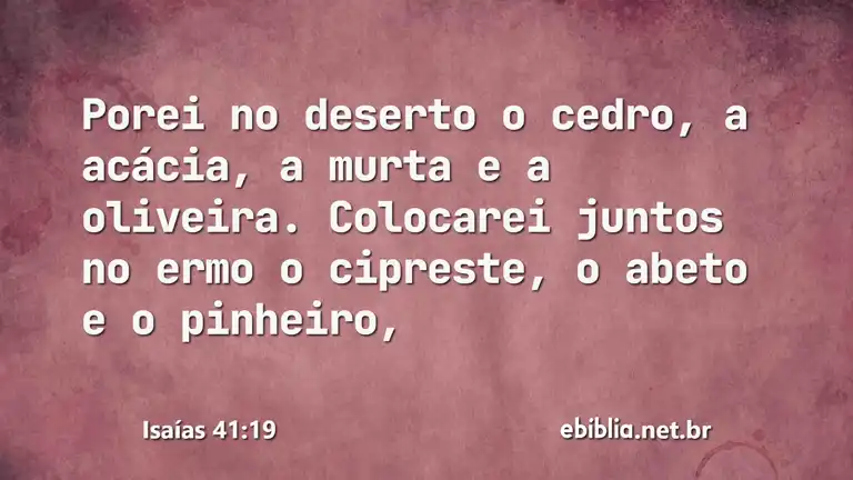 Isaías 41:19