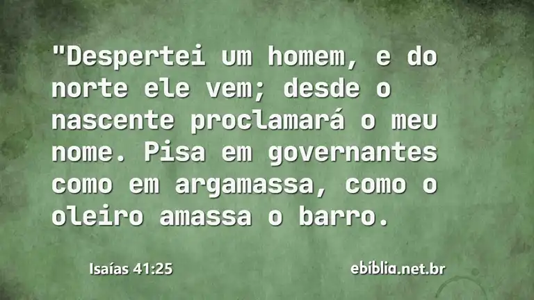 Isaías 41:25