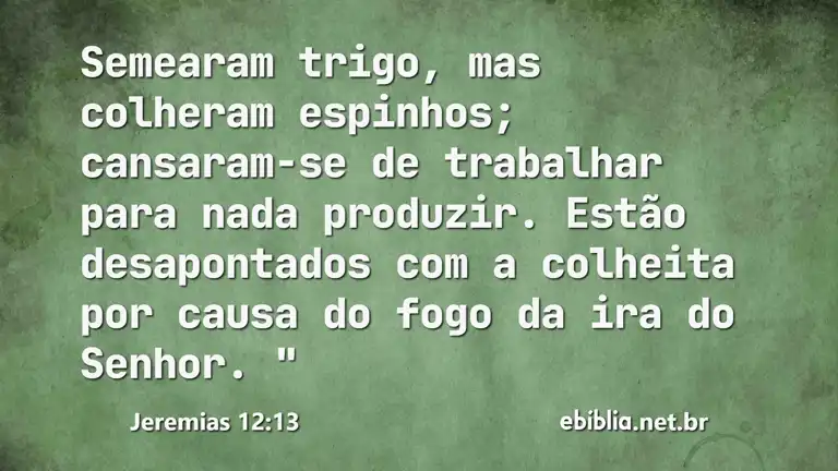 Jeremias 12:13