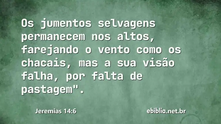 Jeremias 14:6