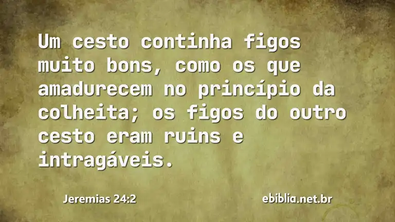 Jeremias 24:2