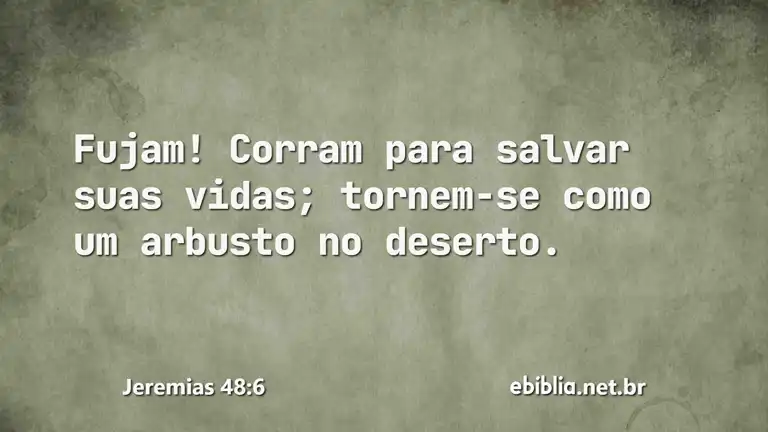 Jeremias 48:6