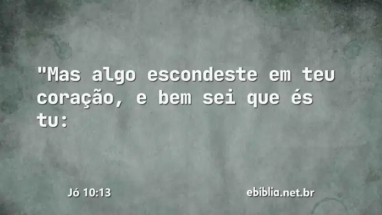 Jó 10:13