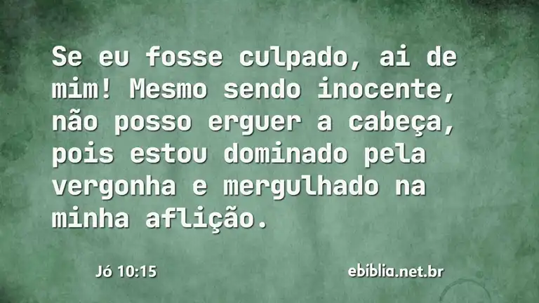 Jó 10:15