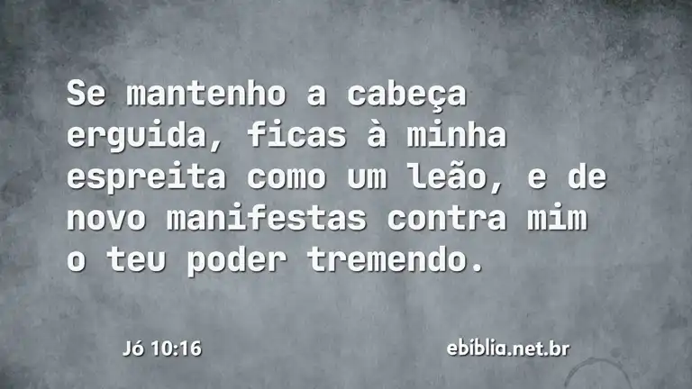 Jó 10:16