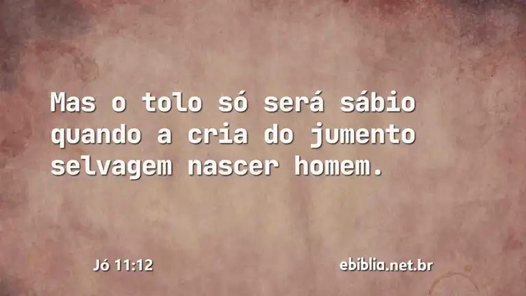 Jó 11:12