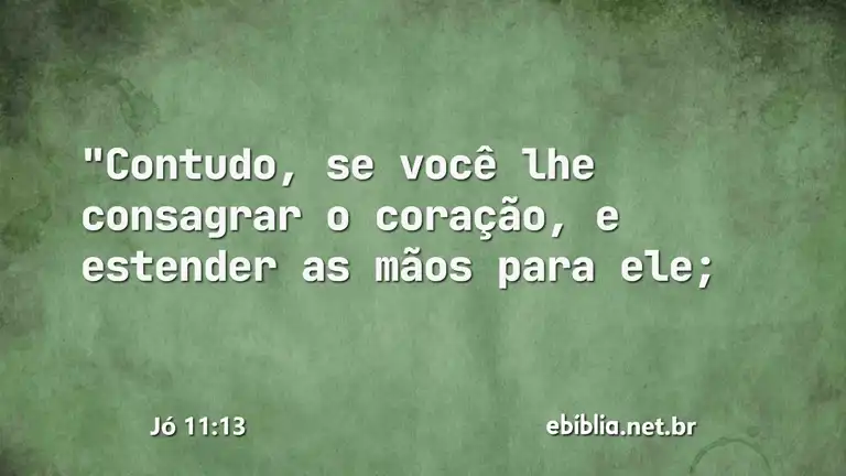 Jó 11:13