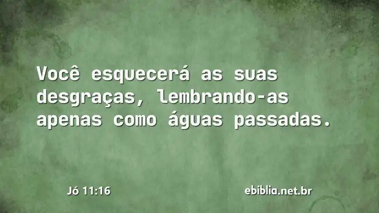 Jó 11:16