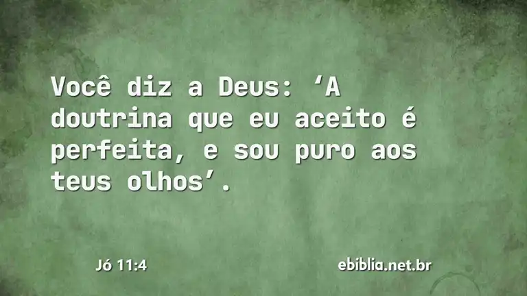 Jó 11:4