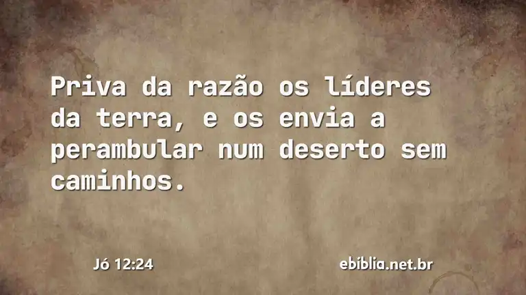 Jó 12:24