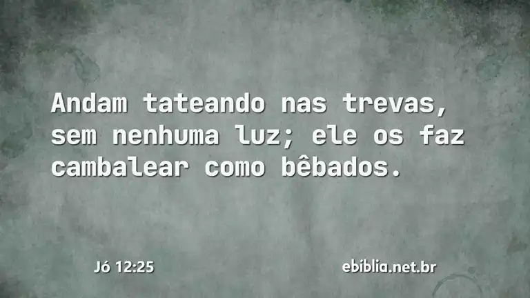 Jó 12:25