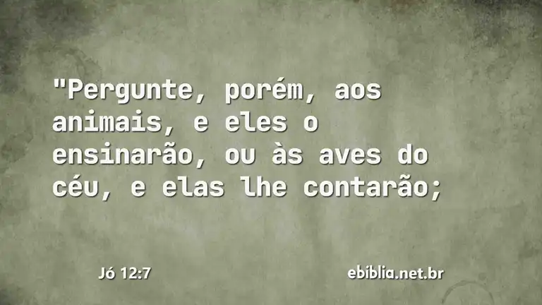 Jó 12:7