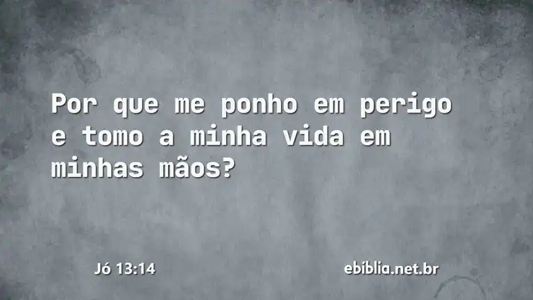 Jó 13:14