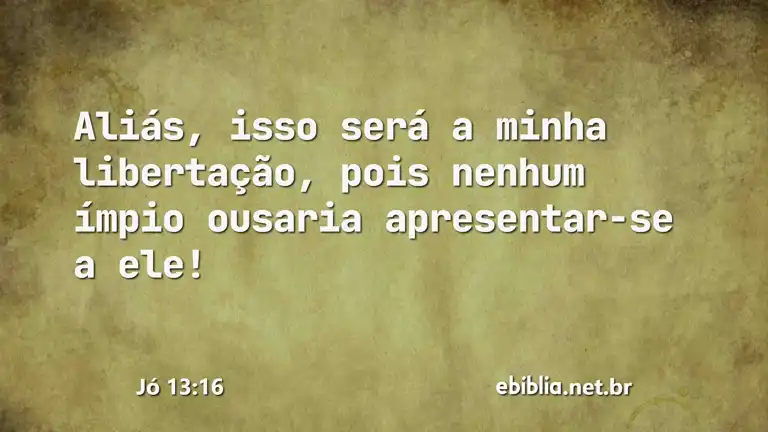 Jó 13:16