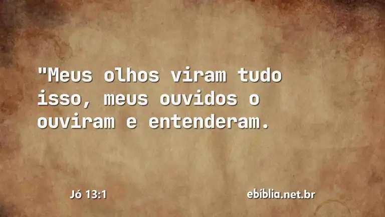 Jó 13:1