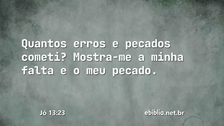 Jó 13:23