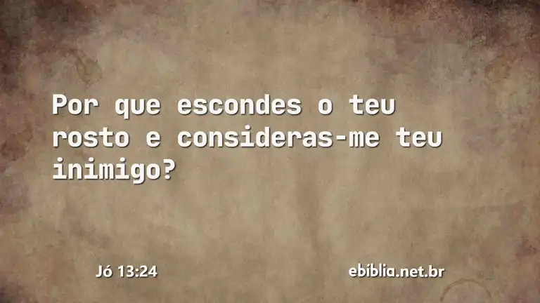 Jó 13:24