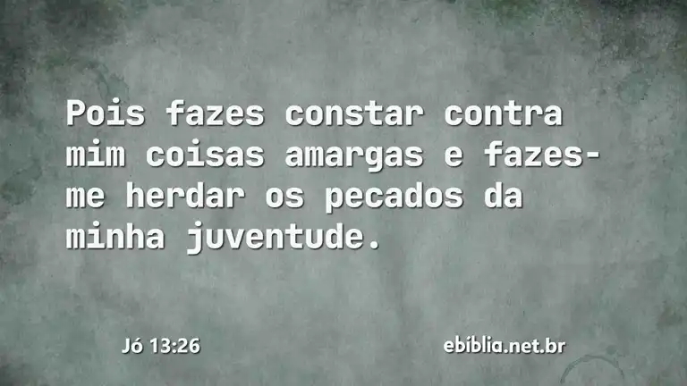 Jó 13:26